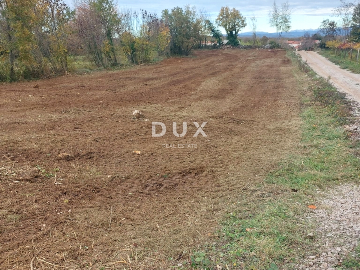 ISTRIA, ALBONA - Ampio terreno edificabile