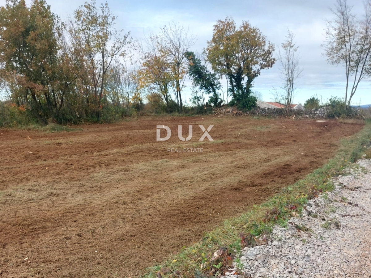 ISTRIA, ALBONA - Ampio terreno edificabile