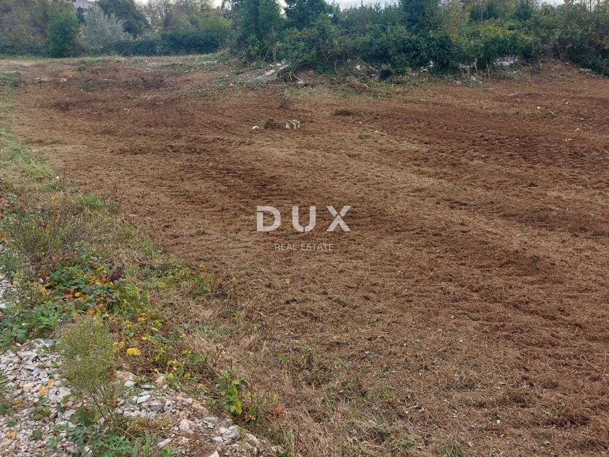 ISTRIA, ALBONA - Ampio terreno edificabile