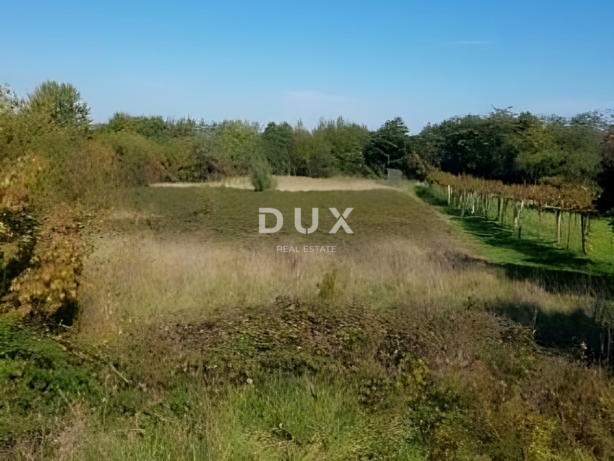 ISTRIA, ALBONA - Ampio terreno edificabile