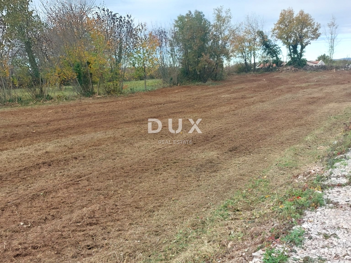 ISTRIA, ALBONA - Ampio terreno edificabile