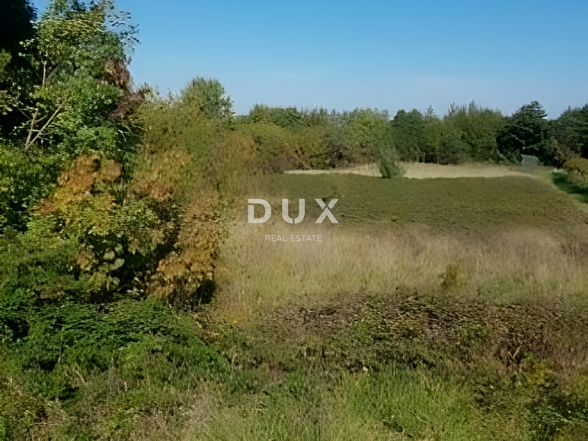 ISTRIA, ALBONA - Ampio terreno edificabile