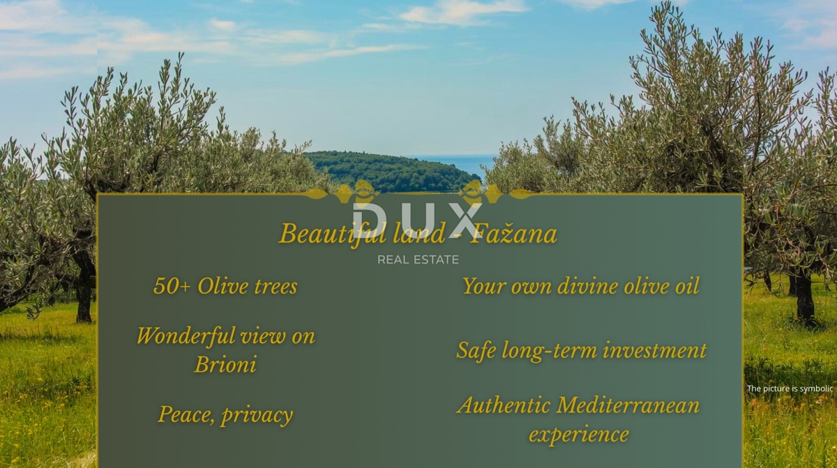 ISTRIA, FAŽANA - Bellissimo uliveto - OCCASIONE!