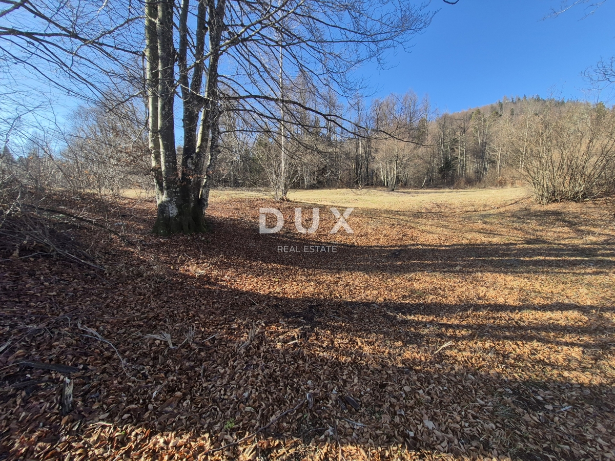 GORSKI KOTAR, FUŽINE - terreno edificabile 1331 m2 - opportunità di investimento!