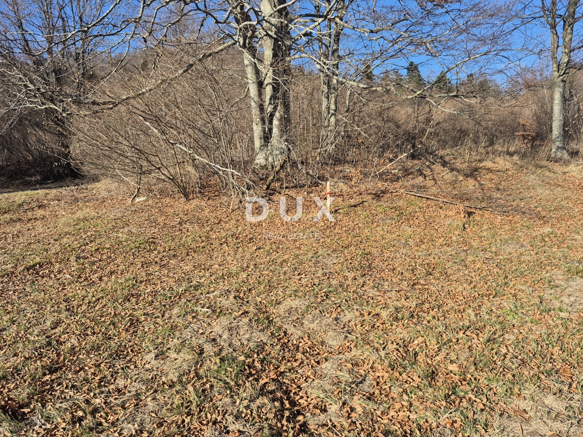 GORSKI KOTAR, FUŽINE - terreno edificabile 1331 m2 - opportunità di investimento!