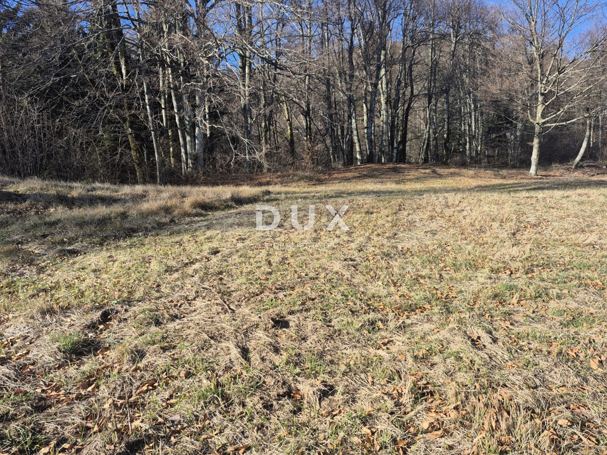 GORSKI KOTAR, FUŽINE - terreno edificabile 1331 m2 - opportunità di investimento!