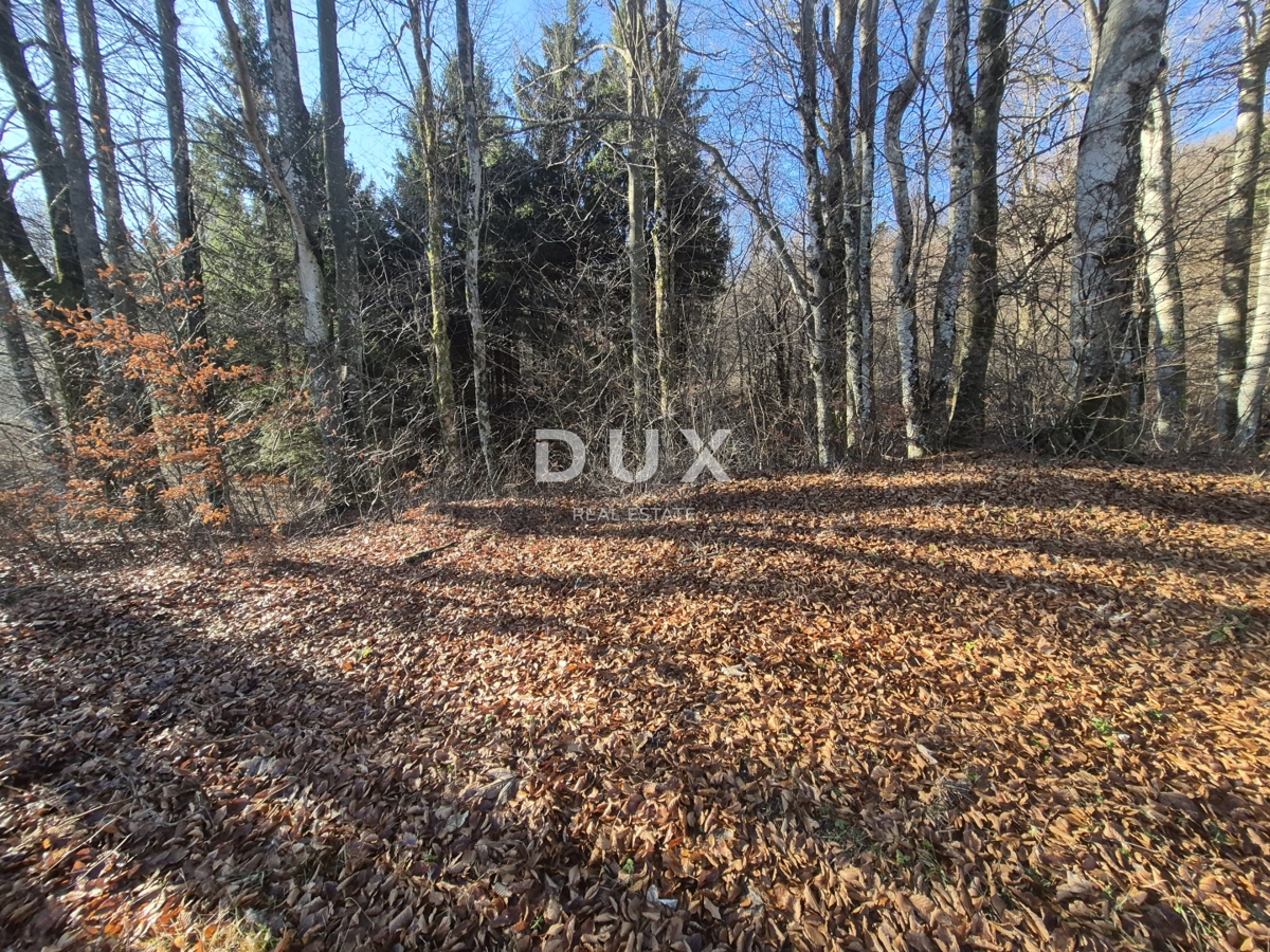 GORSKI KOTAR, FUŽINE - terreno edificabile 1331 m2 - opportunità di investimento!