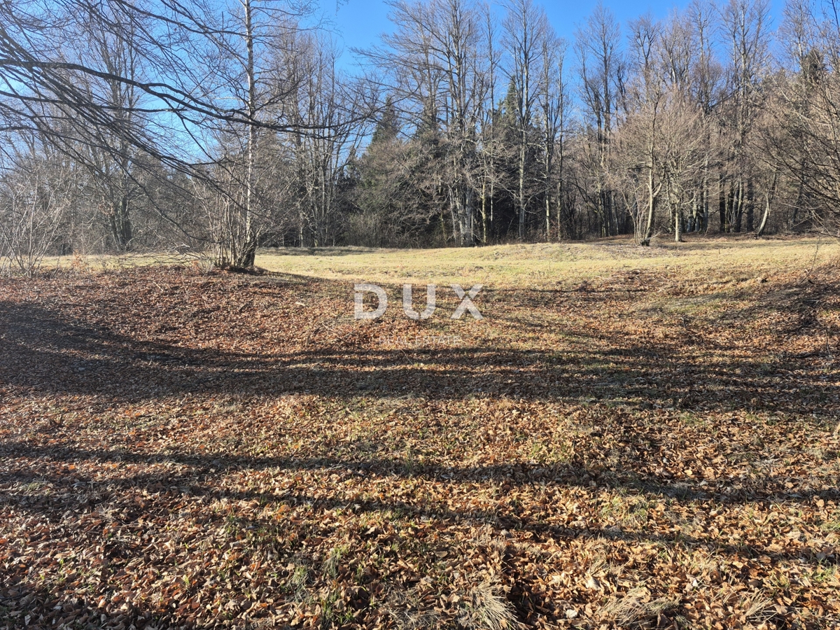 GORSKI KOTAR, FUŽINE - terreno edificabile 1331 m2 - opportunità di investimento!