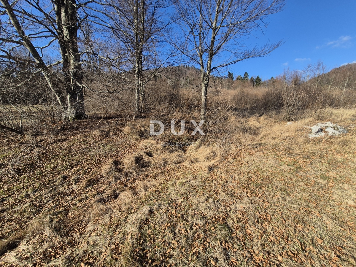 GORSKI KOTAR, FUŽINE - terreno edificabile 1331 m2 - opportunità di investimento!