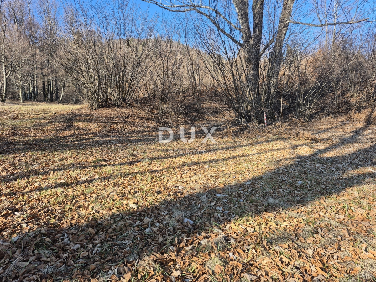 GORSKI KOTAR, FUŽINE - terreno edificabile 1331 m2 - opportunità di investimento!