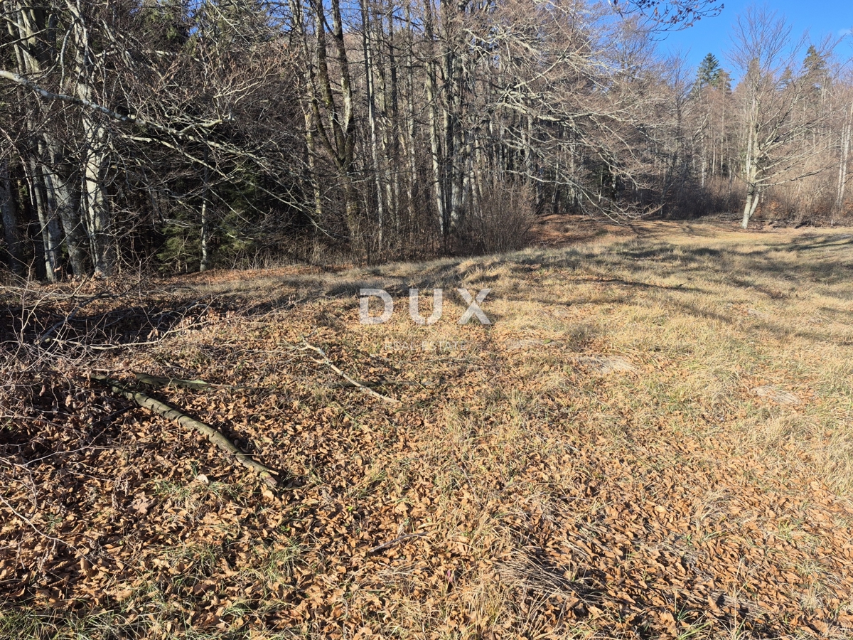 GORSKI KOTAR, FUŽINE - terreno edificabile 1331 m2 - opportunità di investimento!