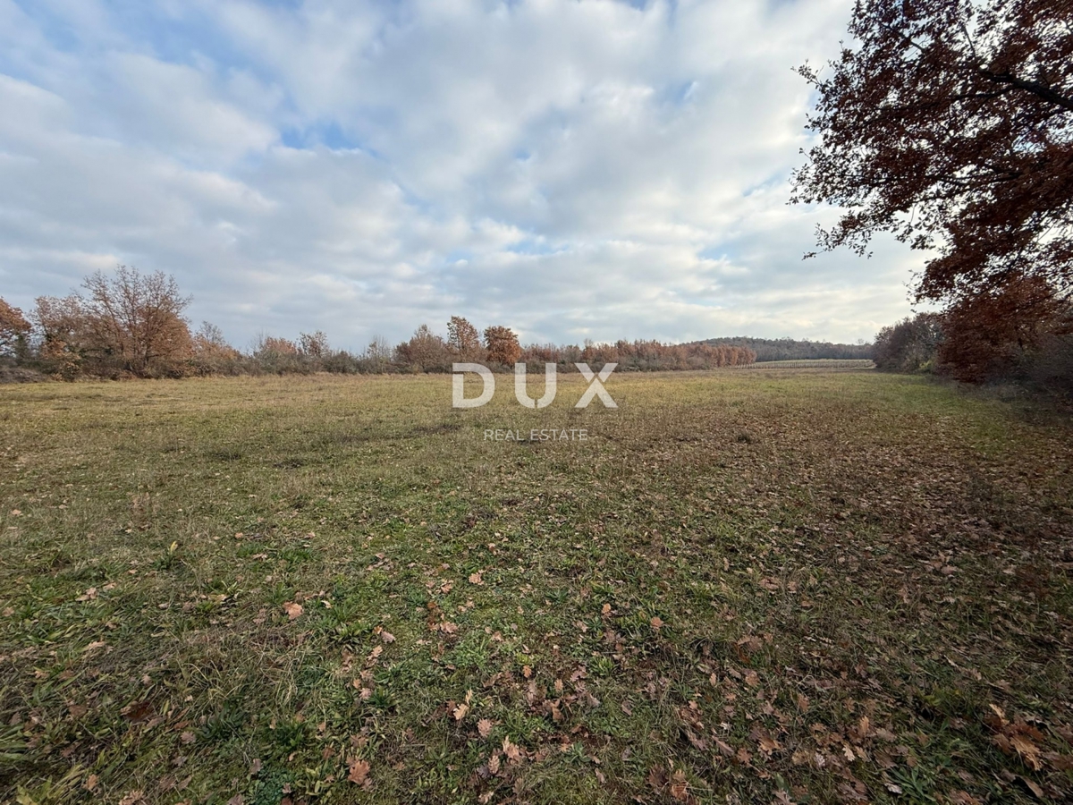 ISTRIA, PARENZO - Ampio terreno agricolo