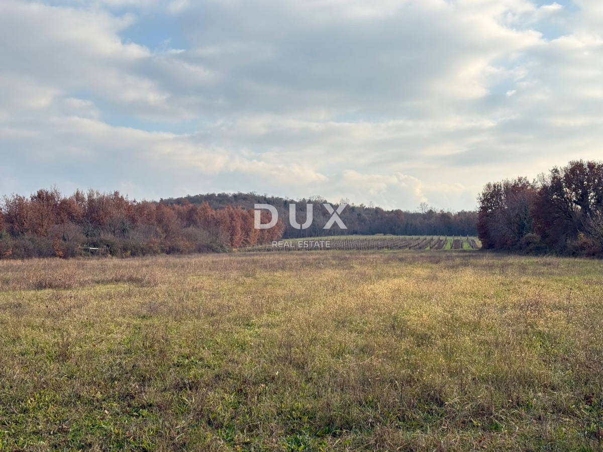 ISTRIA, PARENZO - Ampio terreno agricolo