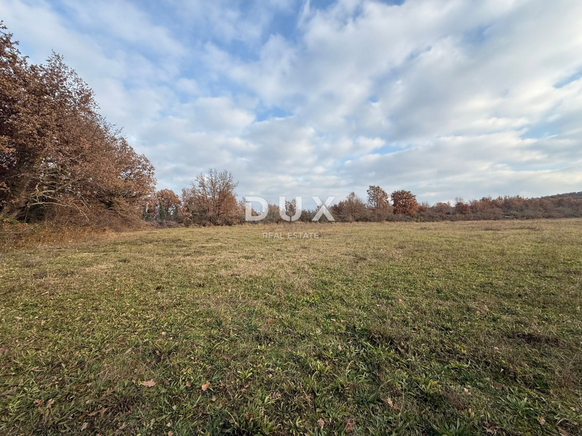 ISTRIA, PARENZO - Ampio terreno agricolo