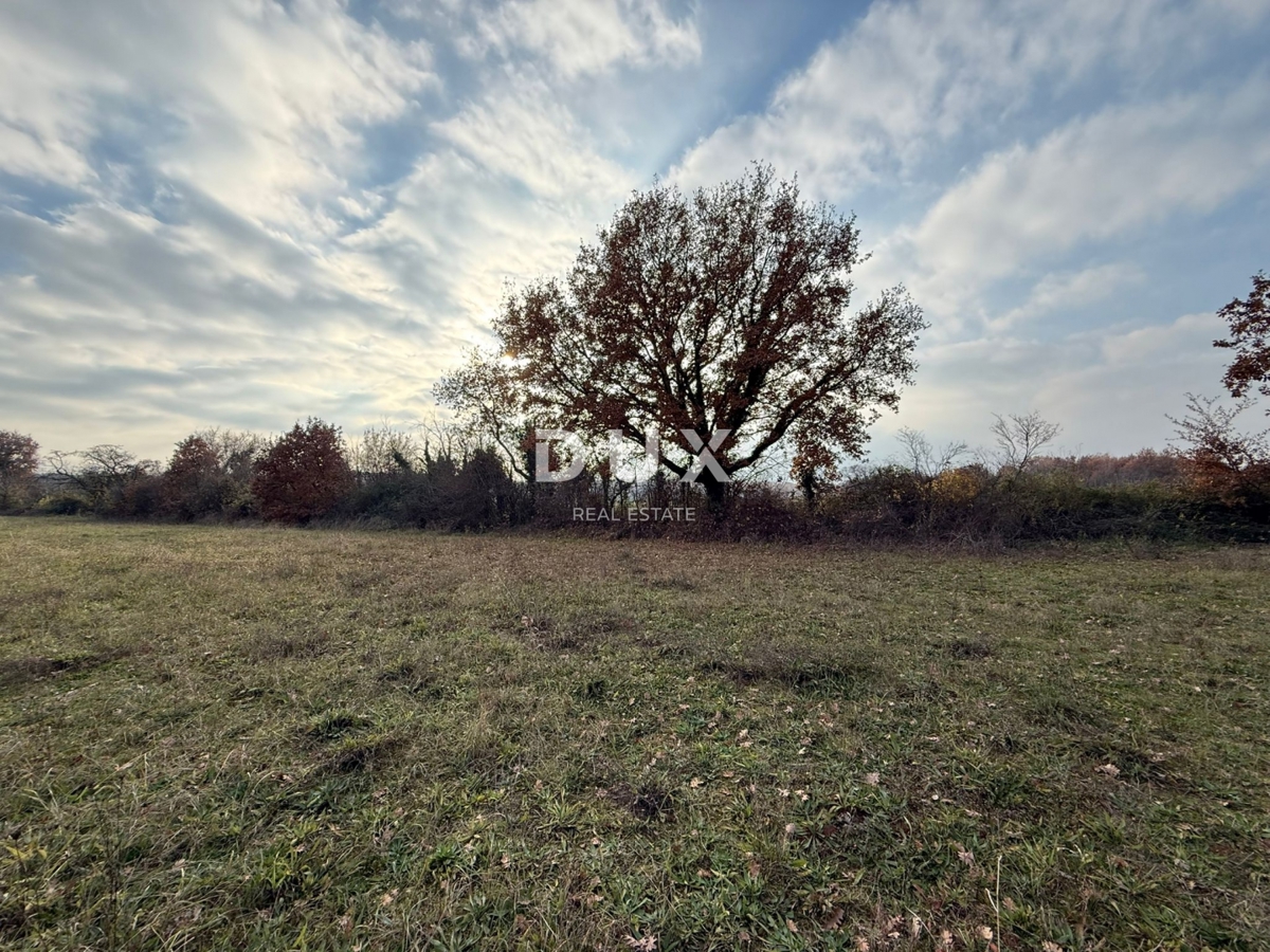 ISTRIA, PARENZO - Ampio terreno agricolo
