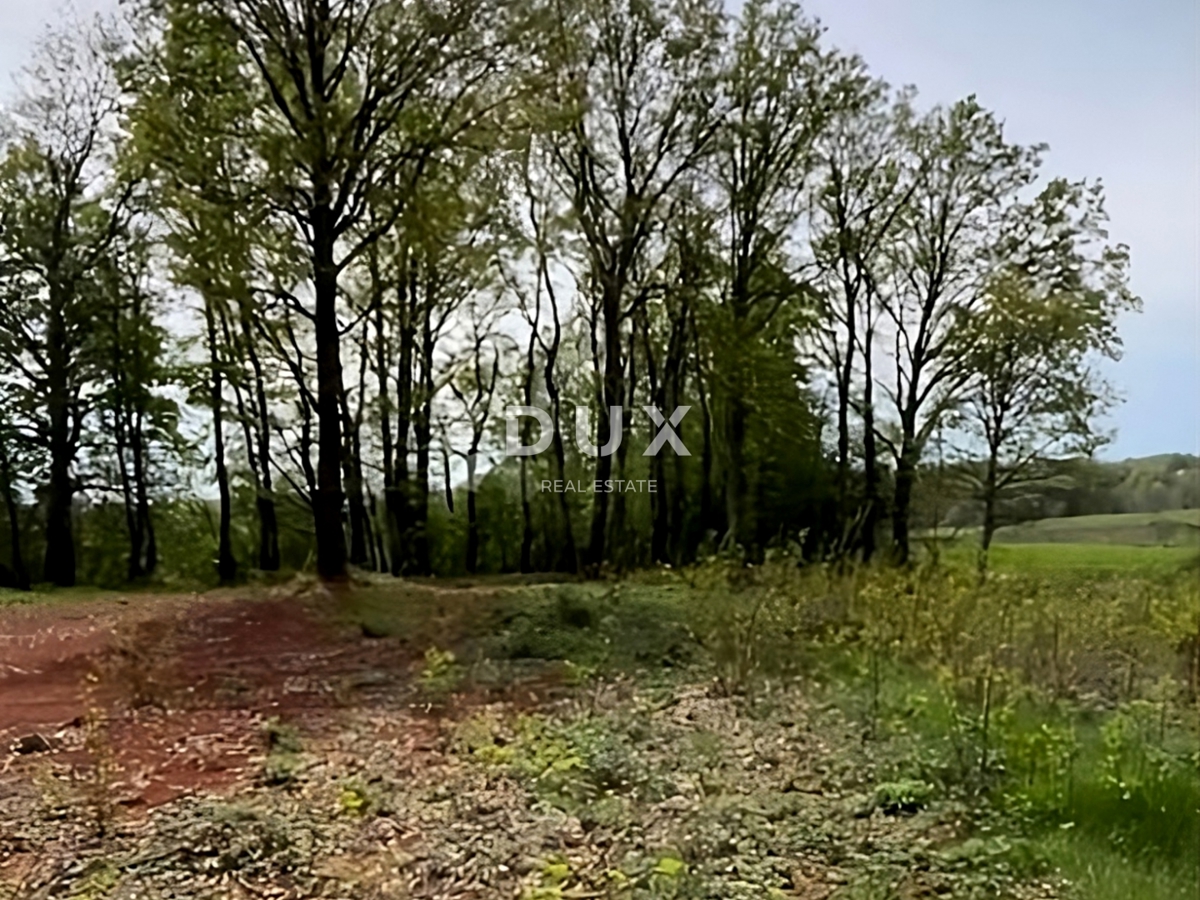 ISTRIA, BARBAN - Terreno con permesso di costruire