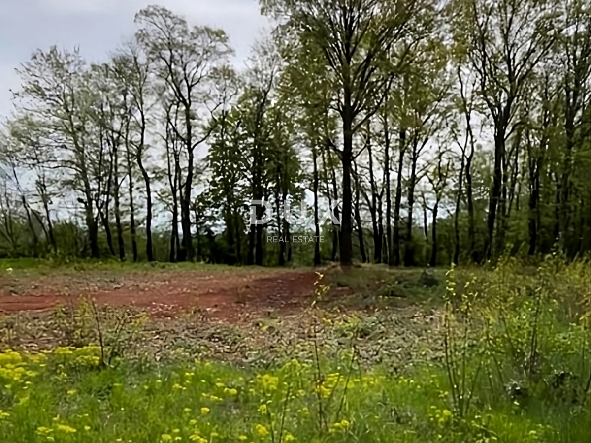 ISTRIA, BARBAN - Terreno con permesso di costruire