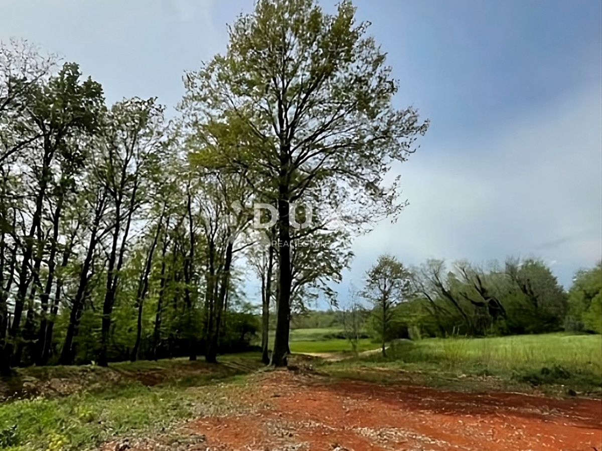 ISTRIA, BARBAN - Terreno con permesso di costruire