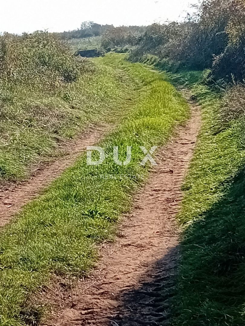 ZADAR, RAŠTANE DONJE - Terreno agricolo 5062 m2