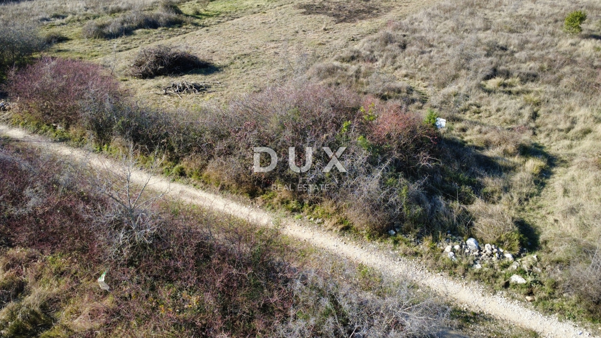 Terreno Crno, Zadar, 3.999m2