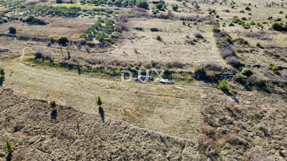 Terreno Crno, Zadar, 3.999m2