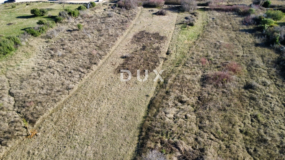Terreno Crno, Zadar, 3.999m2