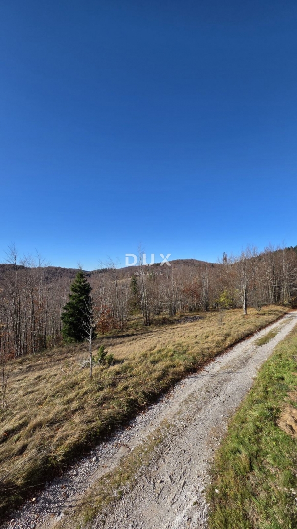 GORSKI KOTAR, STARI LAZ, ampio appezzamento di terreno per la costruzione di un hotel