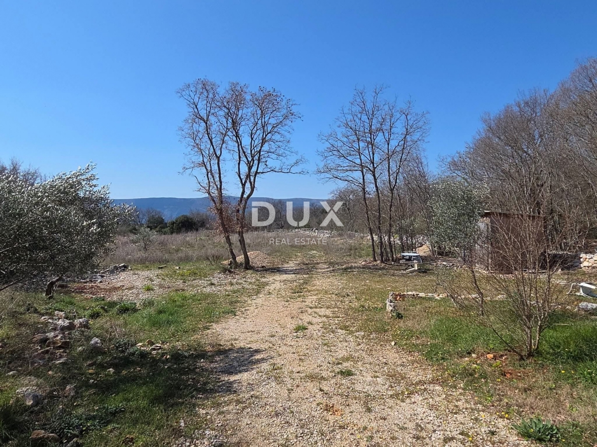 ISOLA DI KRK, LINALDIĆI - terreno agricolo 4812 m2