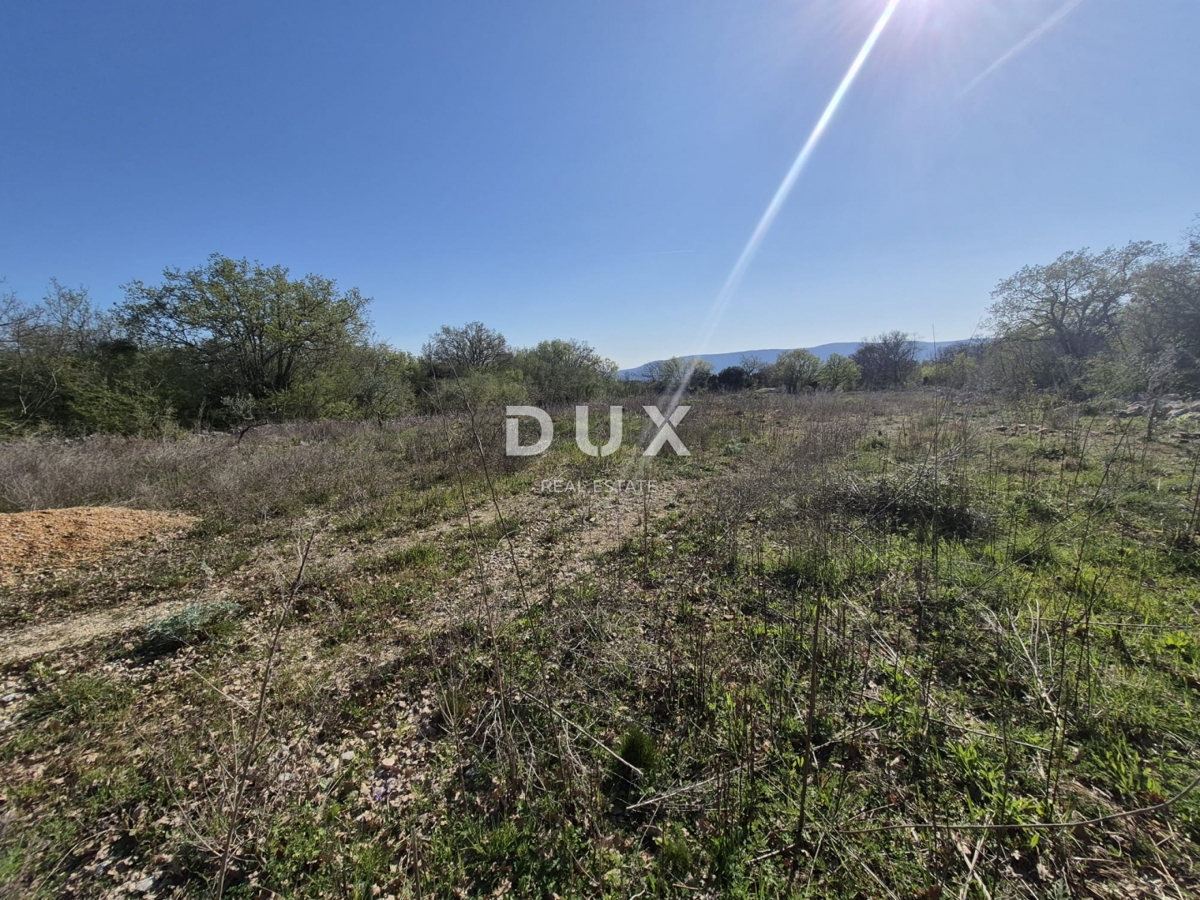 ISOLA DI KRK, LINALDIĆI - terreno agricolo 4812 m2