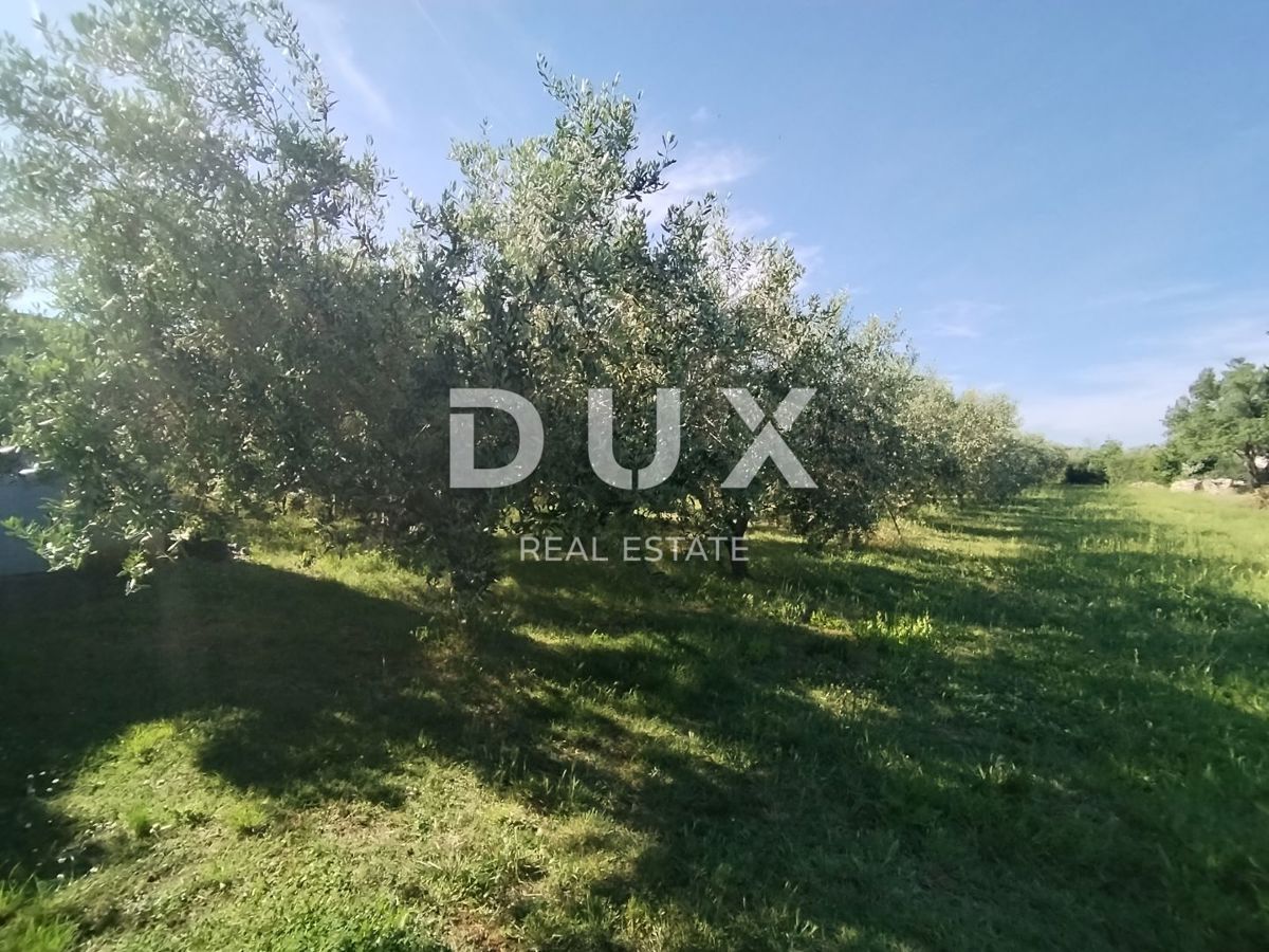 ISTRIA, MEDOLINO - Terreno agricolo con due edifici legalizzati!