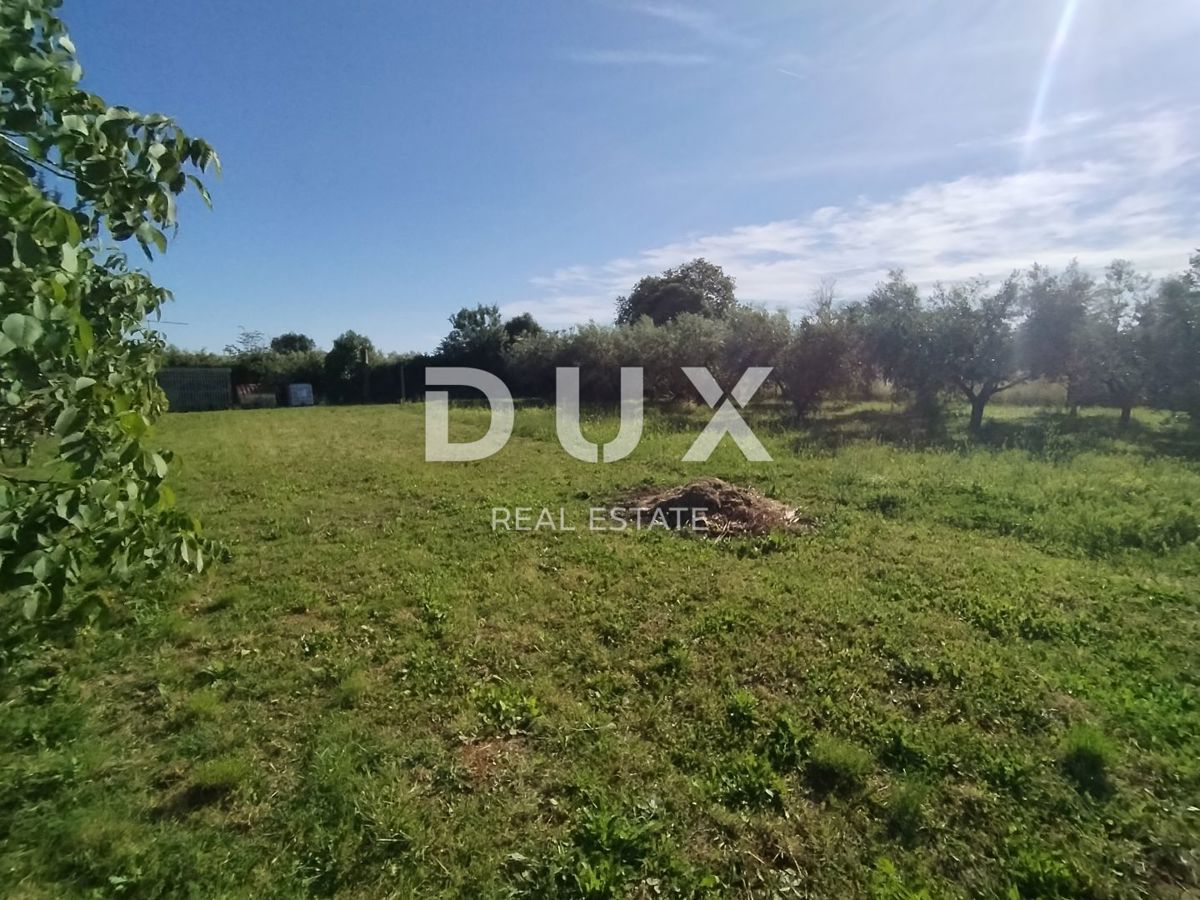 ISTRIA, MEDOLINO - Terreno agricolo con due edifici legalizzati!