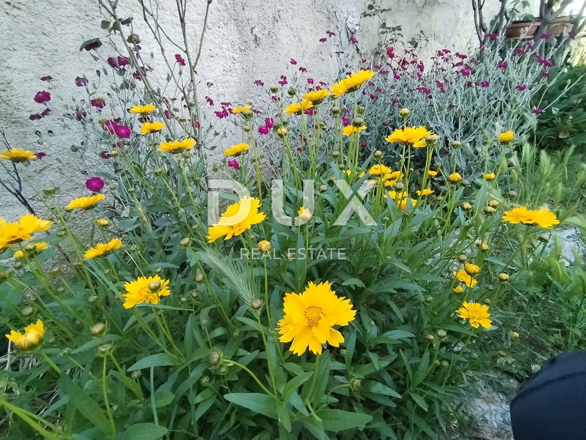 ISTRIA, MEDOLINO - Terreno agricolo con due edifici legalizzati!