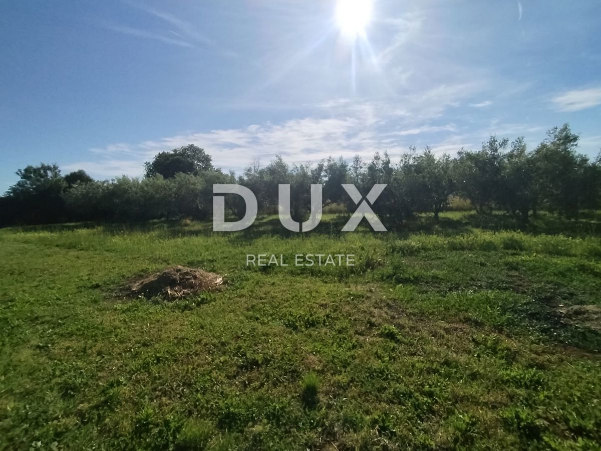 ISTRIA, MEDOLINO - Terreno agricolo con due edifici legalizzati!