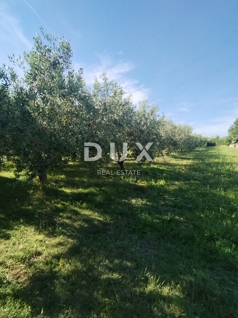 ISTRIA, MEDOLINO - Terreno agricolo con due edifici legalizzati!