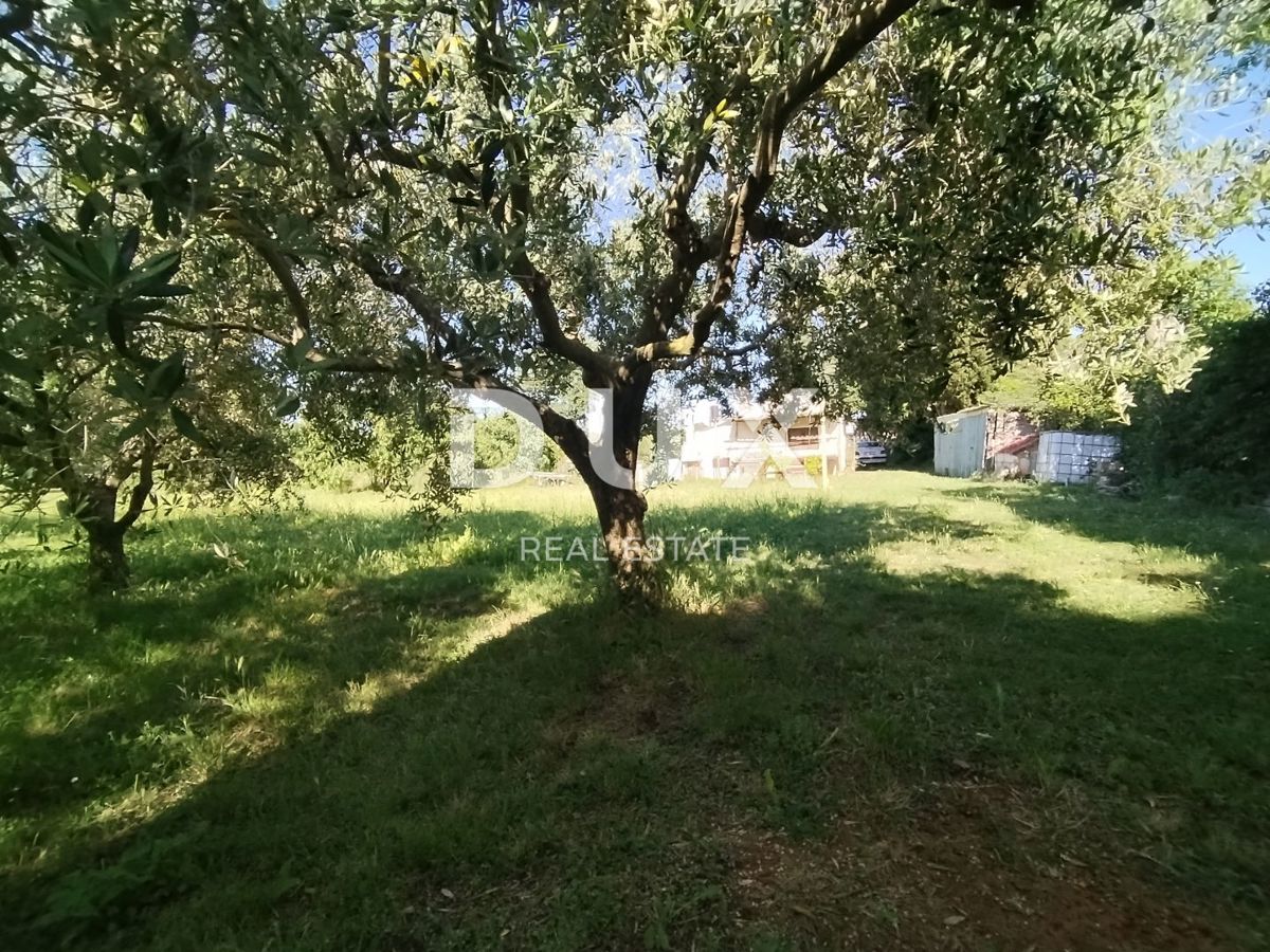 ISTRIA, MEDOLINO - Terreno agricolo con due edifici legalizzati!