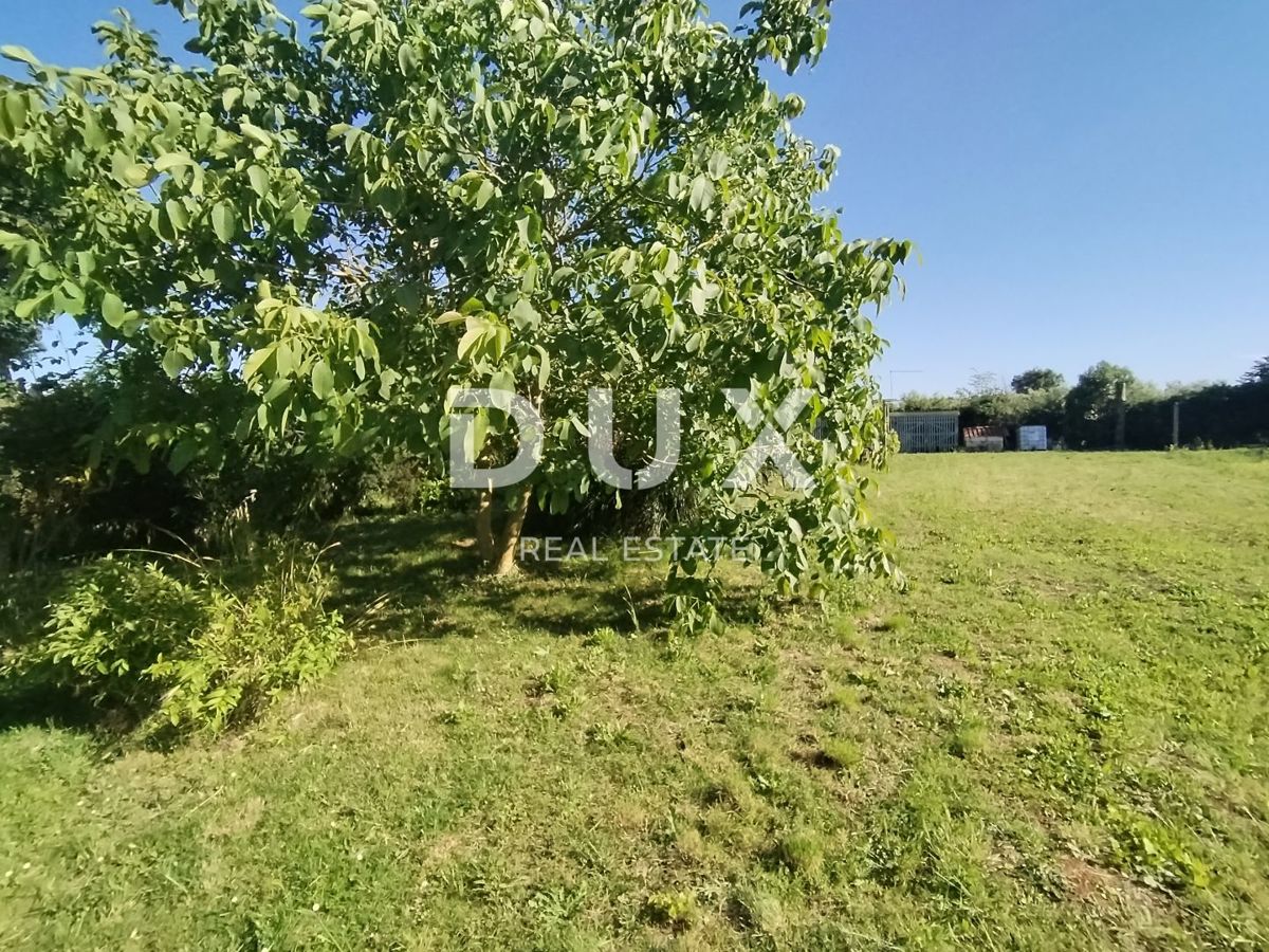 ISTRIA, MEDOLINO - Terreno agricolo con due edifici legalizzati!