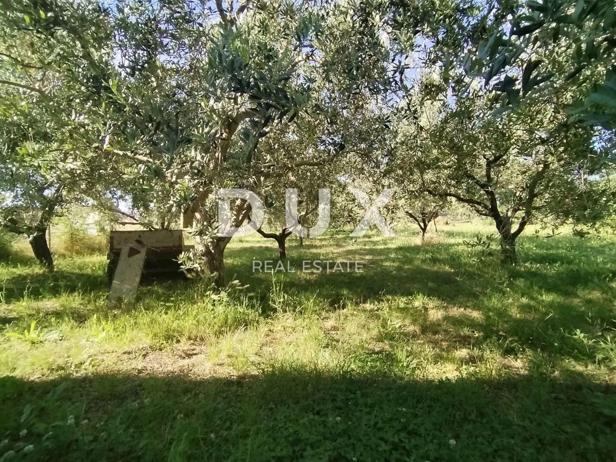 ISTRIA, MEDOLINO - Terreno agricolo con due edifici legalizzati!