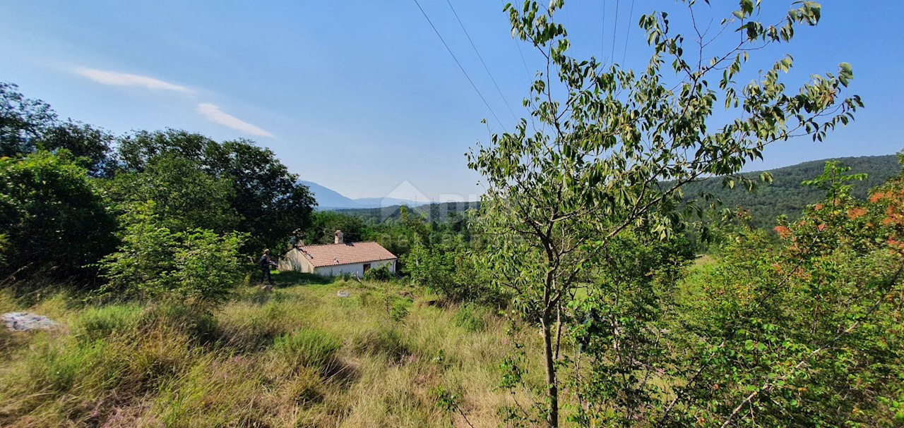 Terreno Šušnjevica, Kršan, 3.742m2