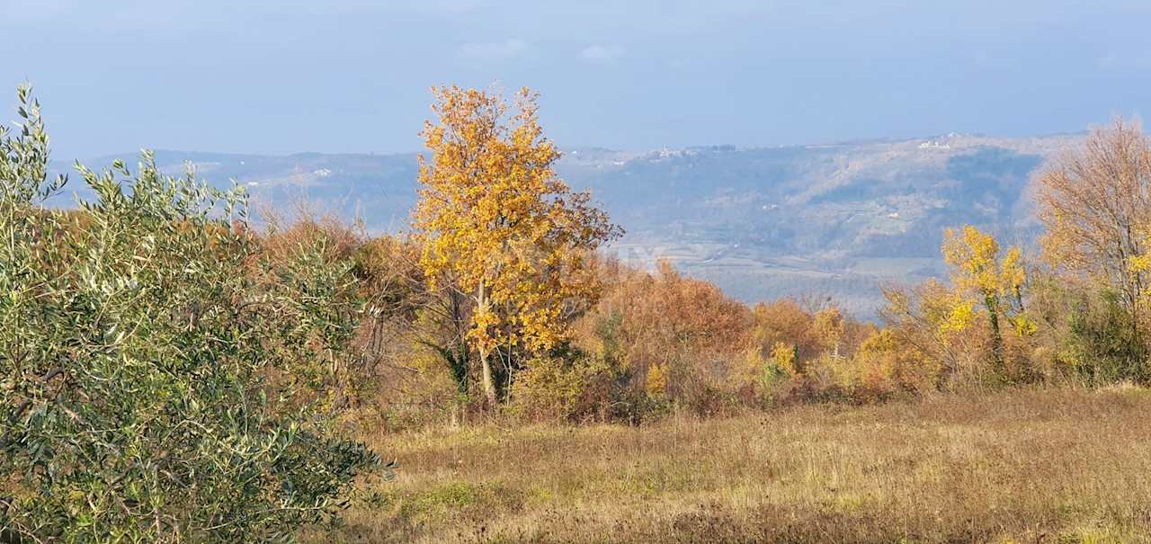 Terreno Vižinada, 5.261m2