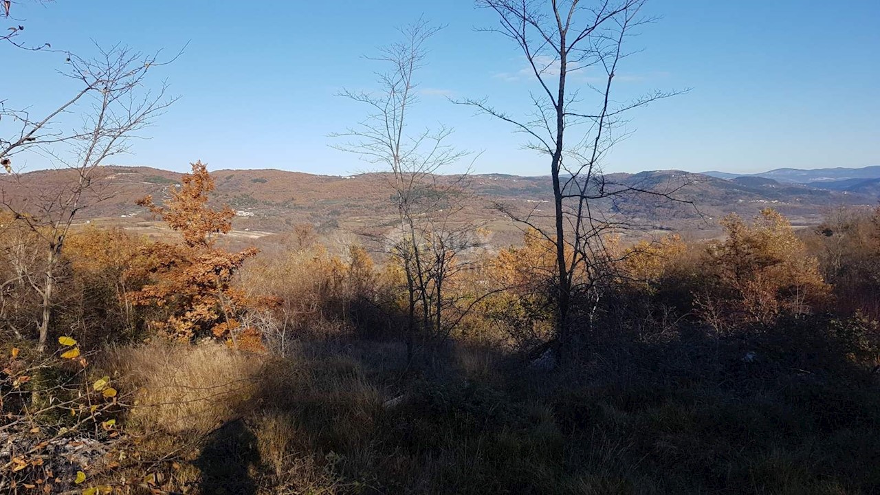 Terreno Vižinada, 5.261m2