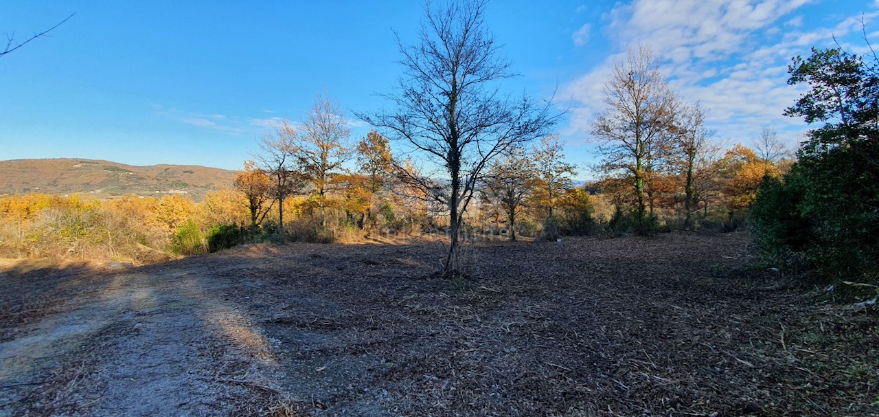 Terreno Vižinada, 5.261m2