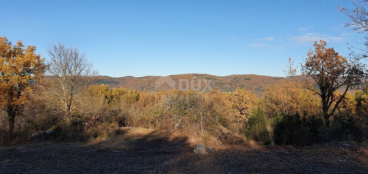 Terreno Vižinada, 5.261m2