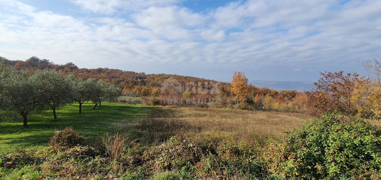 Terreno Vižinada, 5.261m2