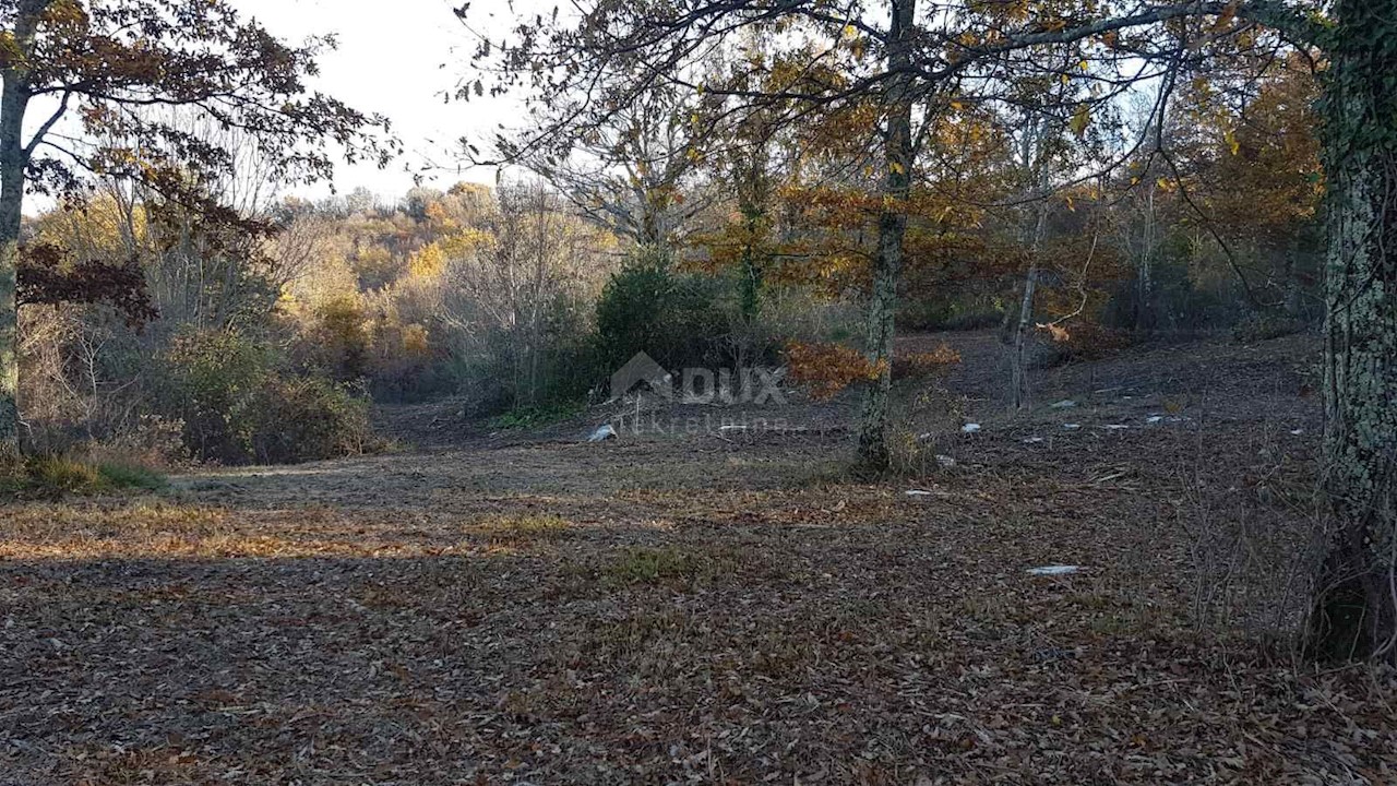 Terreno Vižinada, 5.261m2