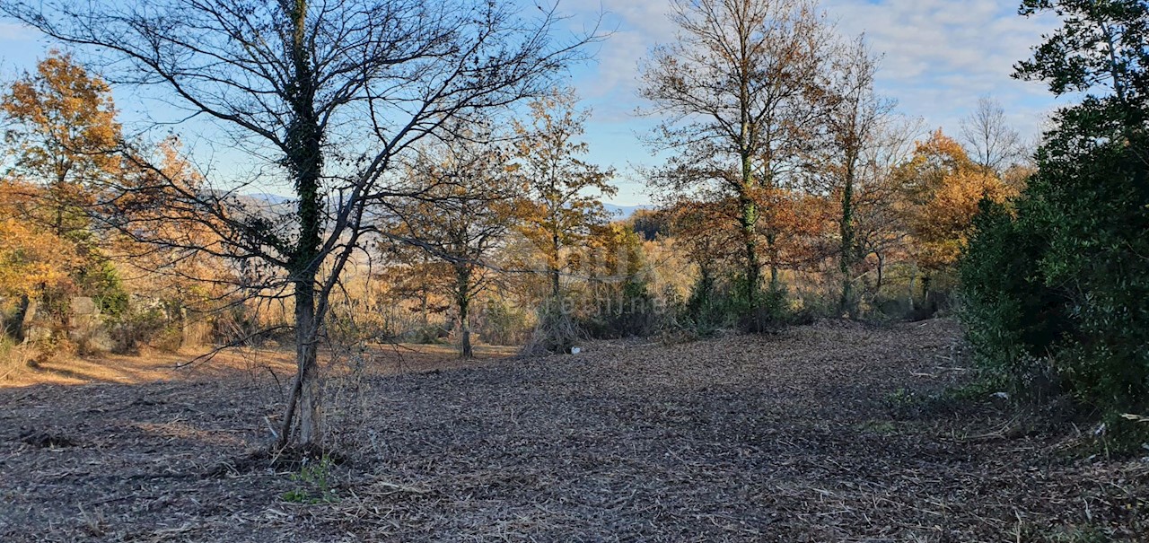 Terreno Vižinada, 5.261m2