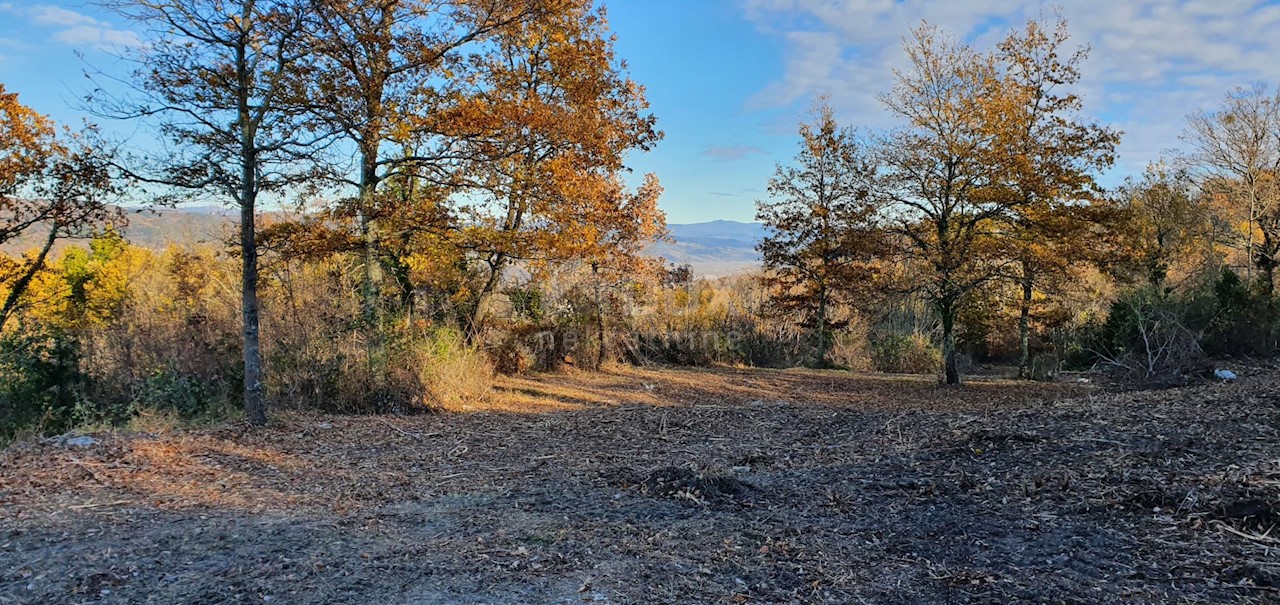 Terreno Vižinada, 5.261m2