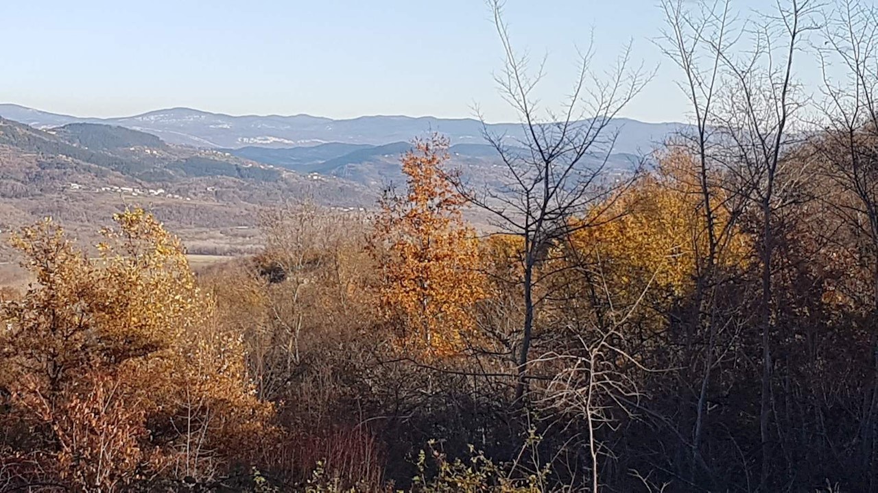 Terreno Vižinada, 5.261m2