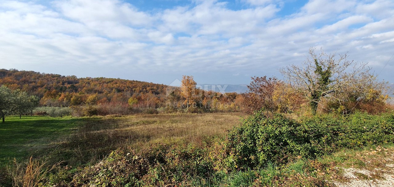 Terreno Vižinada, 5.261m2