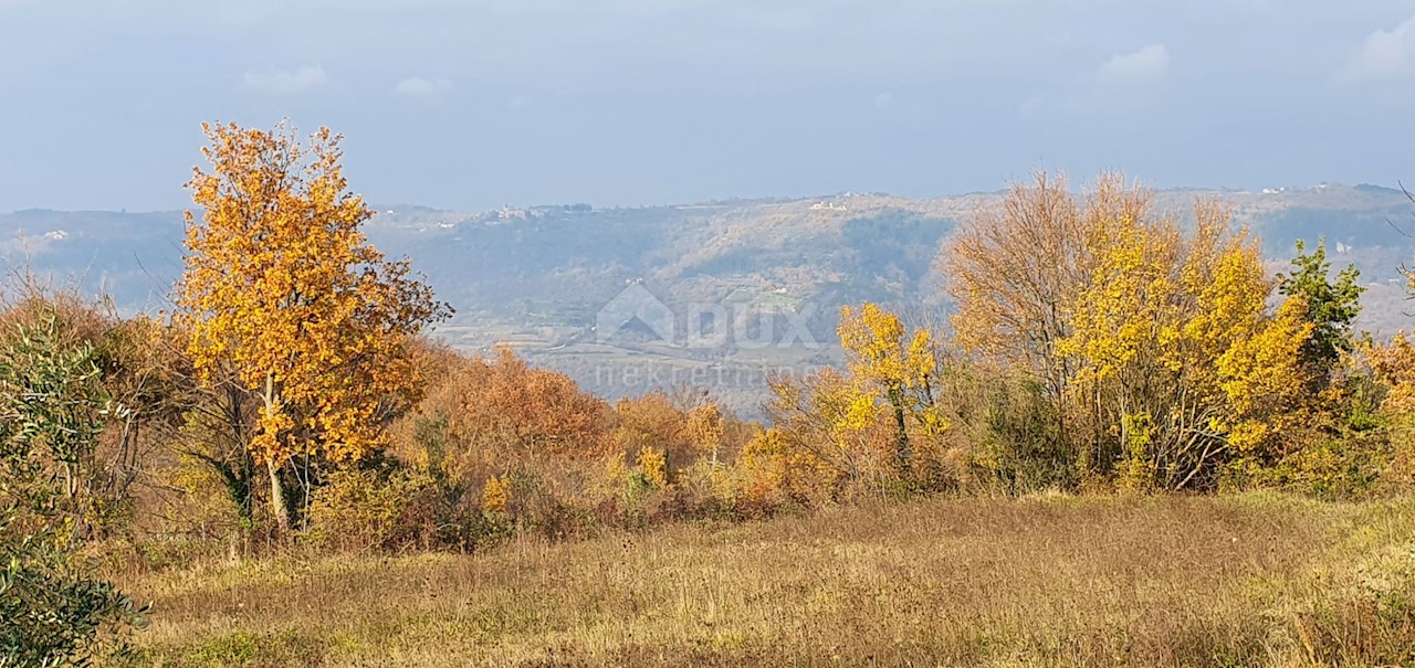 Terreno Vižinada, 5.261m2