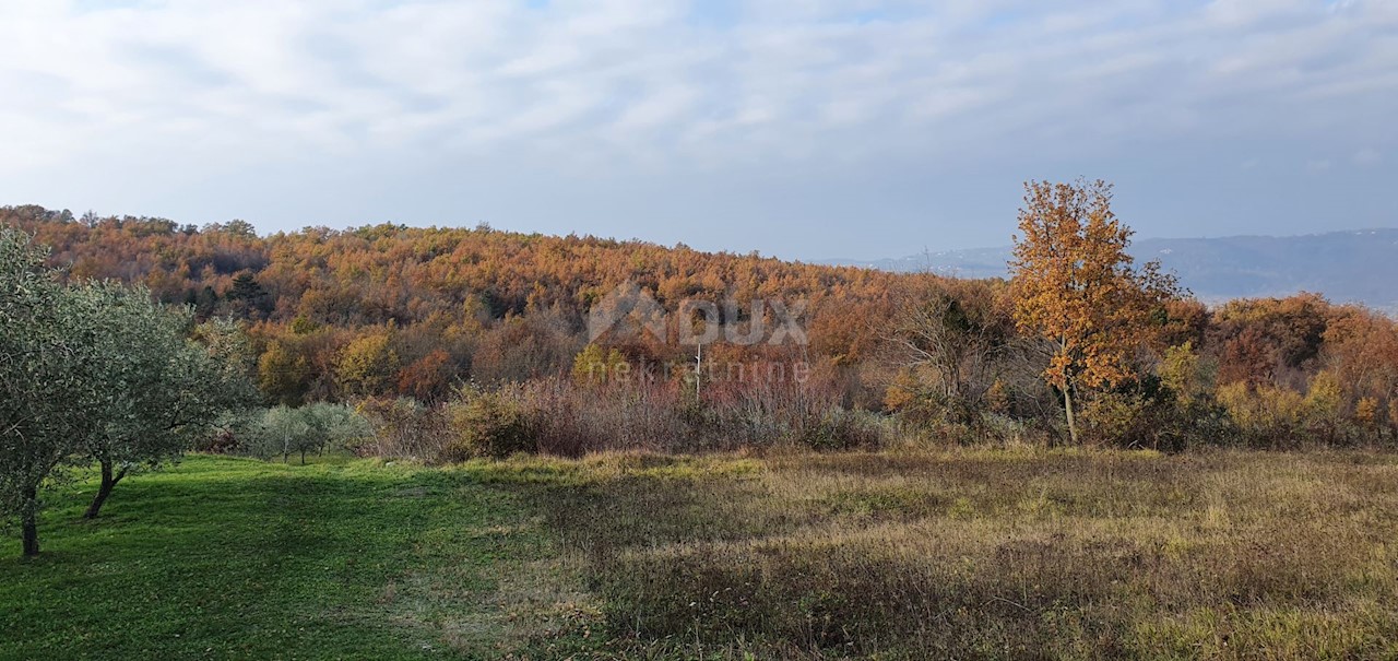 Terreno Vižinada, 5.261m2